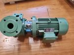 1WZ-0.9 Vorrex Pump